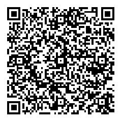 嘘の極限臨界QRコード